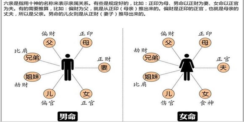 八字有食神库的人(命理库的作用以及个人的见解)