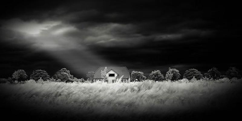 八字是贵格是指什么生肖(这些生辰的生肖注定要事业登高)