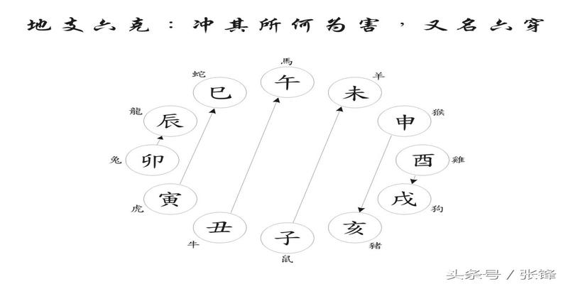 八字申亥相害怎么办(十二地支的刑冲害化合会)