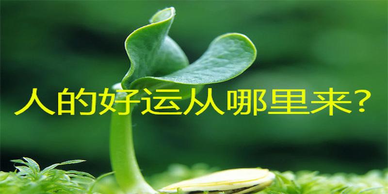 八字灾祸判断应期的方法(人什么时候最容易生病长灾)