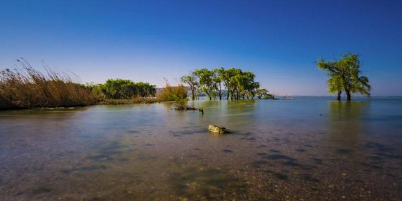 八字用神被克(用神真的有用吗)