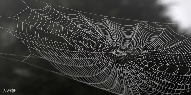 八字看四柱神煞(四柱八字中神煞之“天罗地网”)