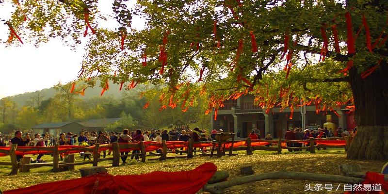 八字等级一览表(五行组合显象与能量级别)