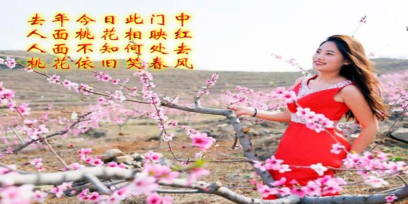 八字算命桃花免费测试(教你怎么看生辰八字之婚姻桃花)