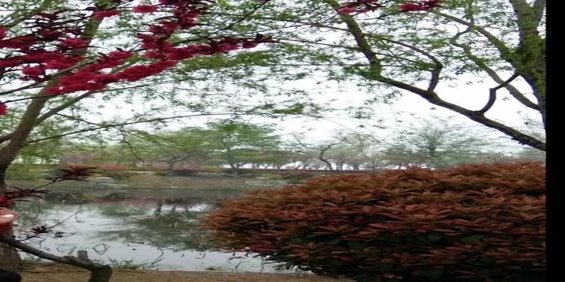 八字自带鸳鸯合的女人(从天干和十二生肖上看找什么样的对象才能合的来)