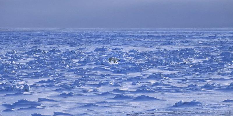 北极地区极昼时日出日落方位(北极光要怎么看)