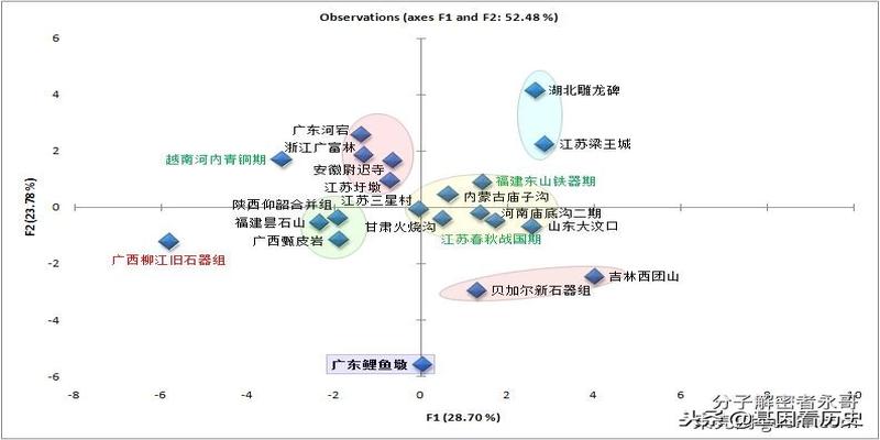 吃狗肉会破相风水学(雷州半岛的狗图腾部落)