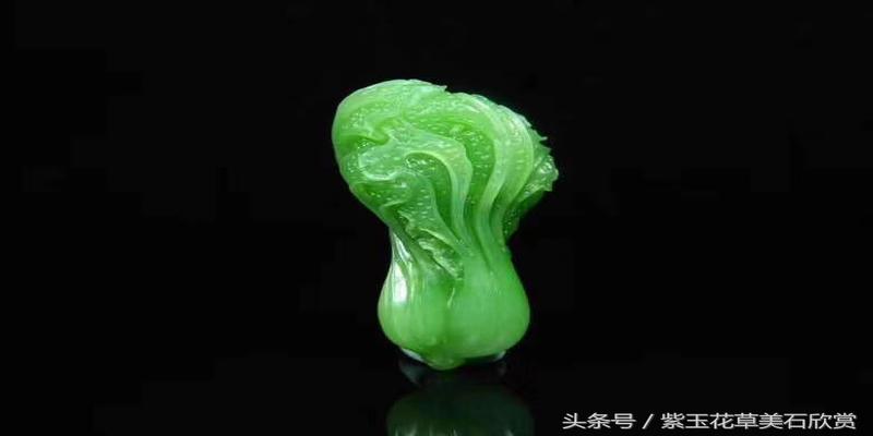 白菜的寓意和象征风水(人生拥有“玉白菜”)