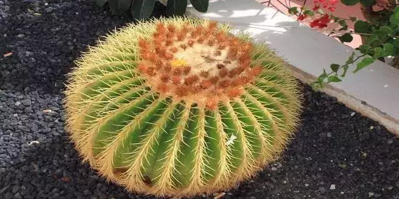 别人穿过的衣服可以穿吗 风水(有些东西别人白送你都不能要)