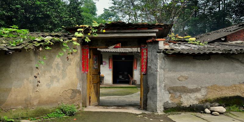 别墅院子里种什么树风水好(农村俗语“庭院有四树)