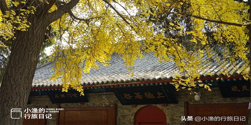 抽签算命免费(传说西安求签最灵验的地方)