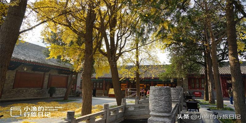 抽签算命免费(传说西安求签最灵验的地方)