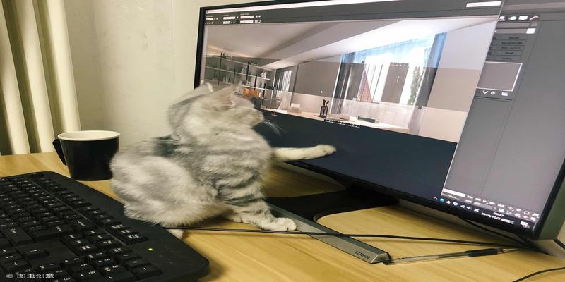 办公室养猫对风水好不好(在公司养宠物真的好么)