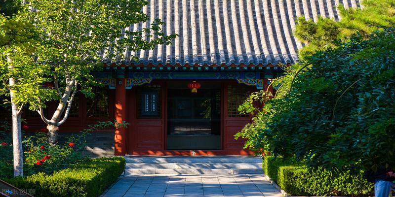 虫子进屋是跟风水有关吗(为什么家门口不能种大树)