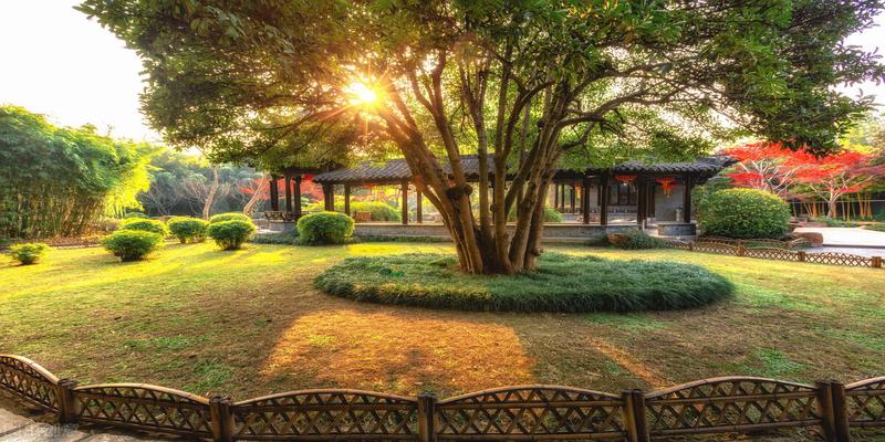 虫子进屋是跟风水有关吗(为什么家门口不能种大树)