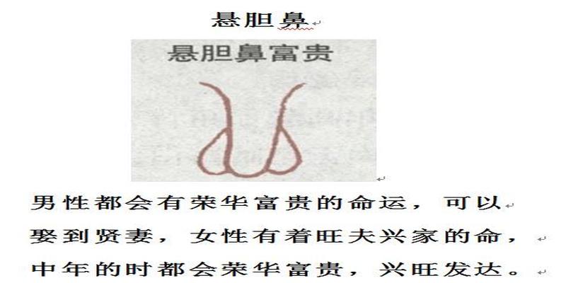 鼻子相学图解鼻子看相(面相之鼻子对应人性特征)