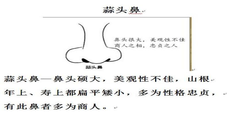 鼻子相学图解鼻子看相(面相之鼻子对应人性特征)