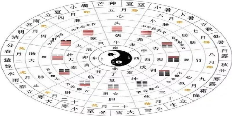 曾仕强写的易经(曾仕强教授谈“易经”)