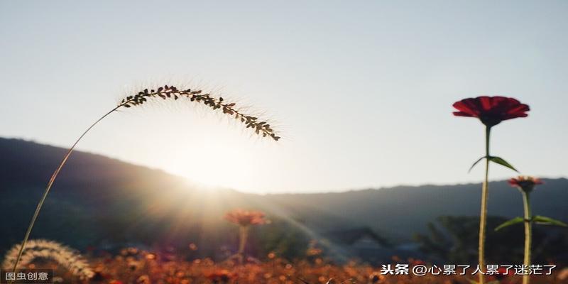 表达风水轮流转的句子(人生感悟的句子)