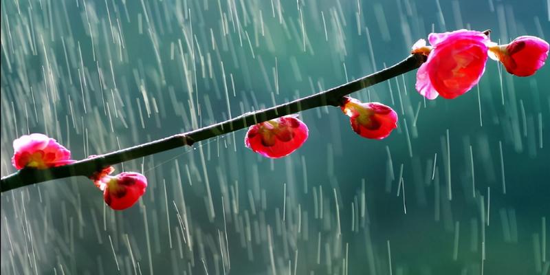 初为霓裳后六爻(史上悲凉凄苦的雨)