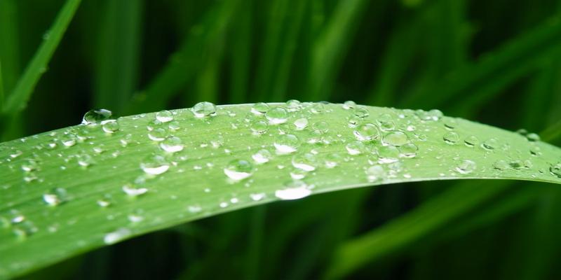 初为霓裳后六爻(史上悲凉凄苦的雨)