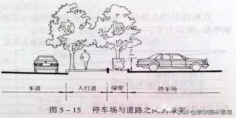 厕所里长树风水好吗(最精细园林景观规划设计规范)