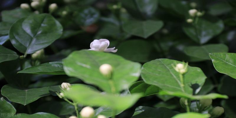 办公室没有窗户风水怎么化解(无开窗无阳台)