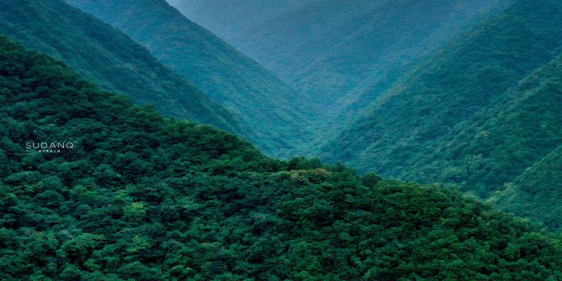 风水福地必有福神看管(为什么终南山的隐士令人好奇)