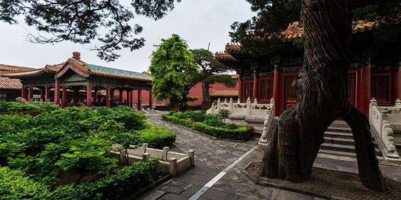 慈禧八字解析(清代东西六宫的位置和嫔妃分析)