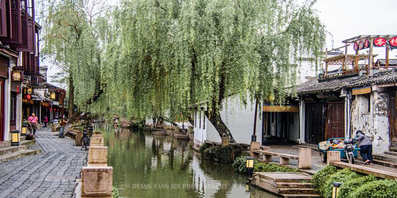 坟墓种什么树最旺风水(农村俗语“宁让门前方塘生)