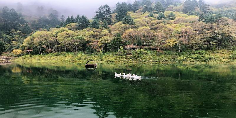 宕昌在甘肃哪个方位(甘肃这座小城)