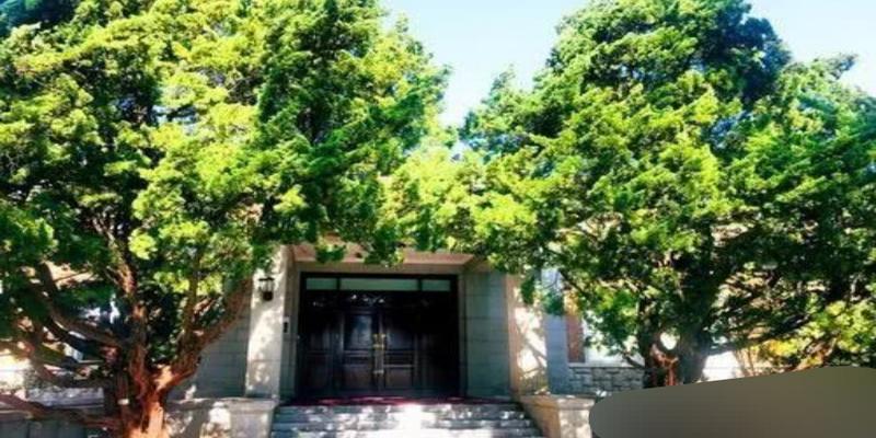 大门口左右两棵树风水(老话“门旁若有两棵树)