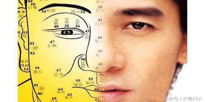 额头运势面相(八字额头的人好不好)