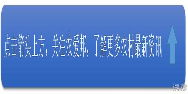 手掌有簸箕纹(手上的簸箕纹怎么看)