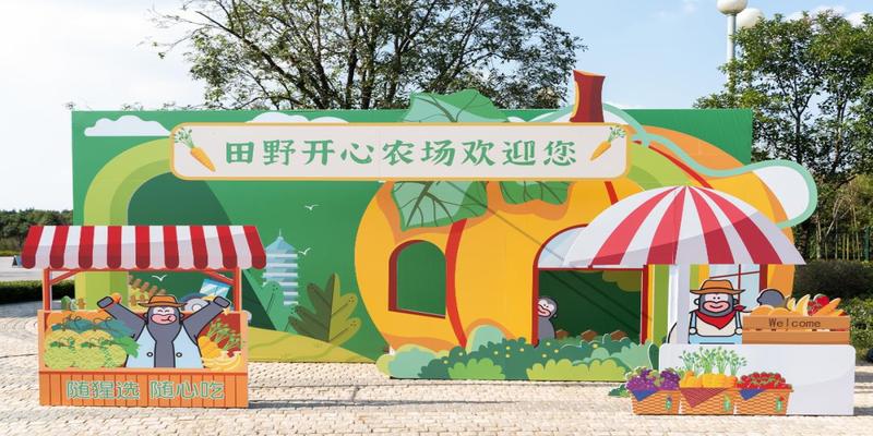 湖北赤壁羊楼洞(赤壁羊楼洞明清石板街)