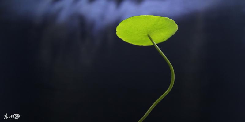 壬午日八字100例(用八字推测六亲一秘法)