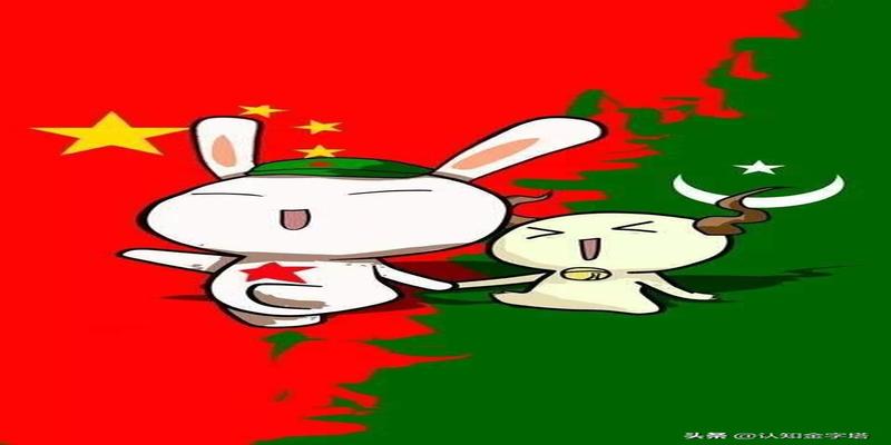 印度和巴基斯坦中间的地区(巴基斯坦印度河)
