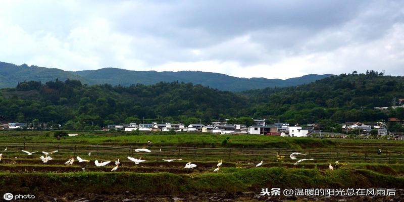 农历日干支(生辰八字按农历还是节气)