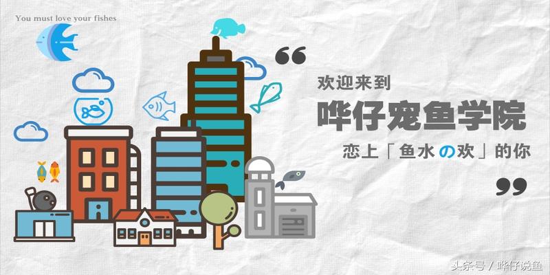 十间鱼风水作用(鱼缸里的比特犬)