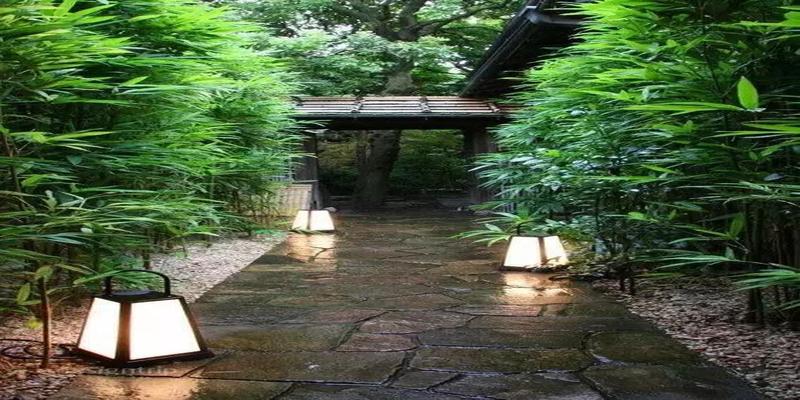 凤尾竹的风水作用(家里种点竹子)