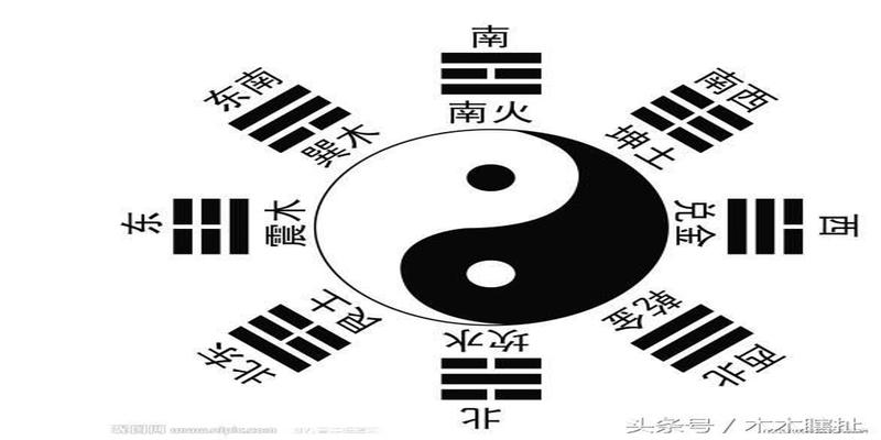 占卜用的蓍草(蓍草占卜法没有变爻怎么取卦)