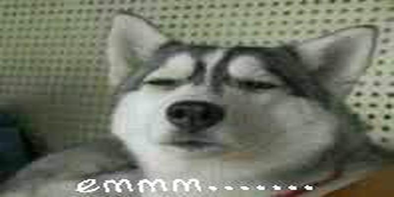 周易八字五行(浅谈周易预测术)