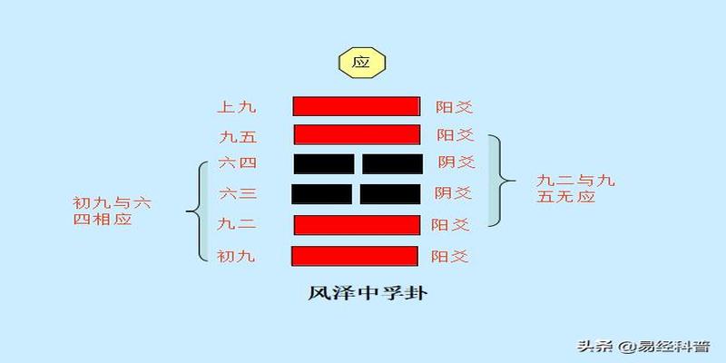 卦和爻之间的关系(周易中是阴阳两爻的不同组合)