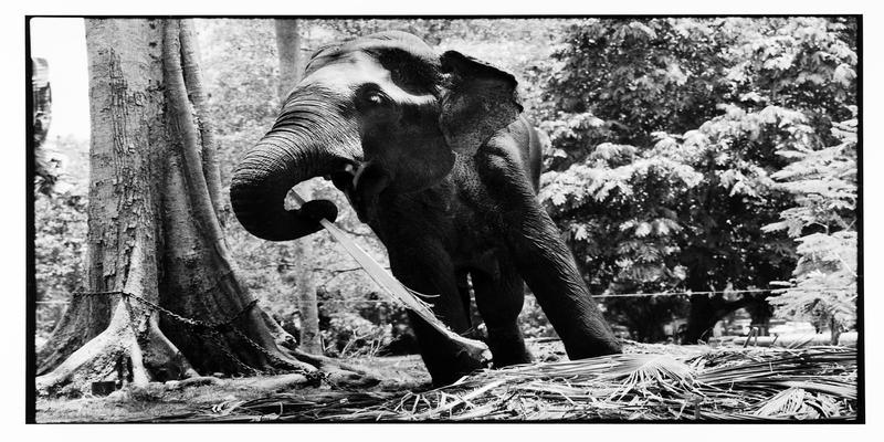 老子 道德经 水(老子的水之道)