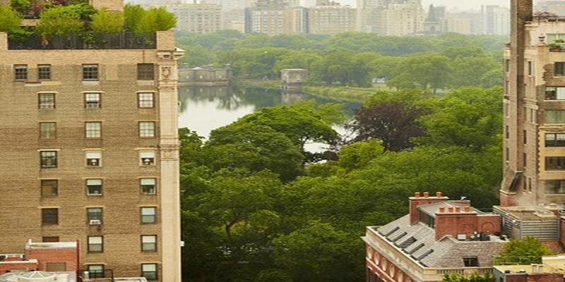 财运东南是什么方位(风水东南方代表)