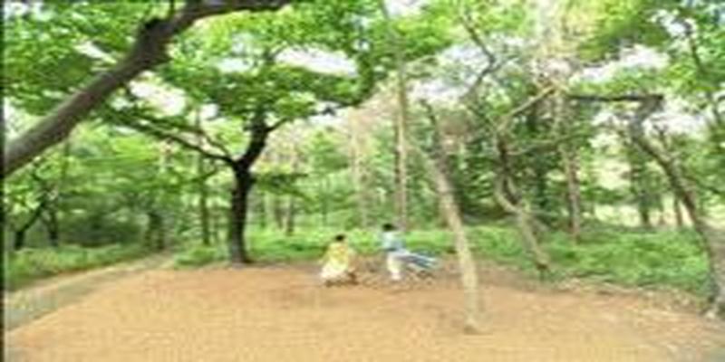周易影视旗下艺人(成全了蔡少芬和张晋)