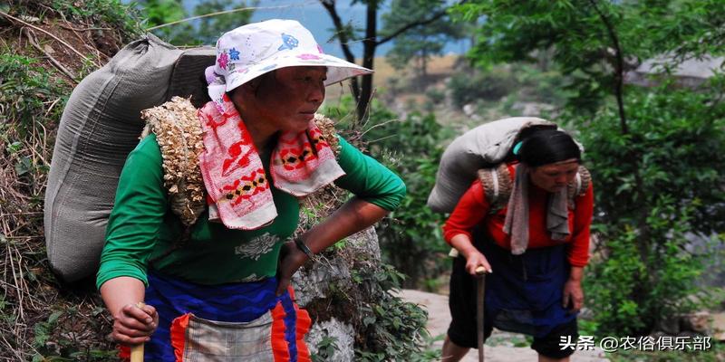后脑骨有八字形状(农村常说人有反骨鬼魅不近身)