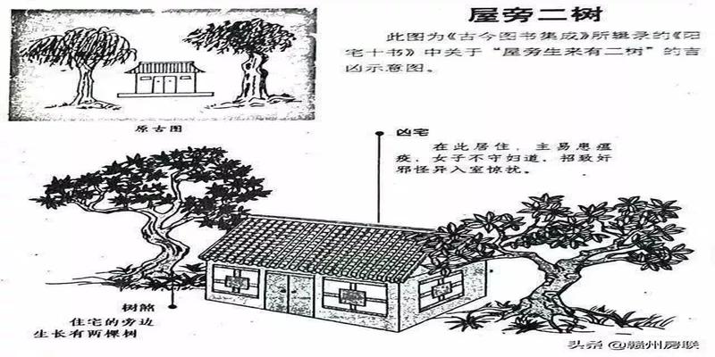 农村住宅风水图(50张漫画详解农村自建房风水)