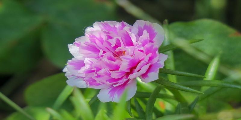 双子座今日运势财运方位(双子座运势10)