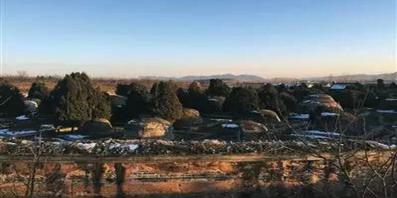 摸金校尉盗墓电影(摸金盗墓系列电影大全)